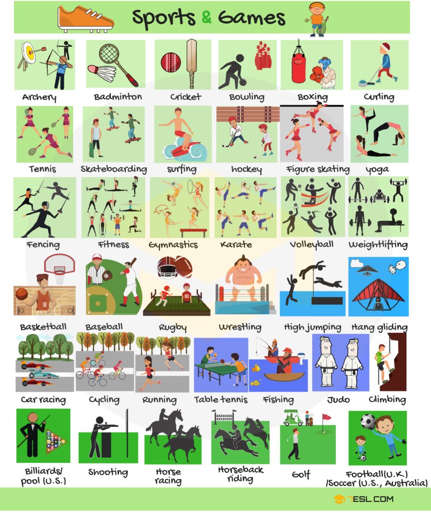 The Dynamic World of Sports An In-Depth Exploration